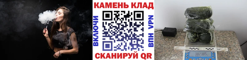 ГАШ Premium Ельня