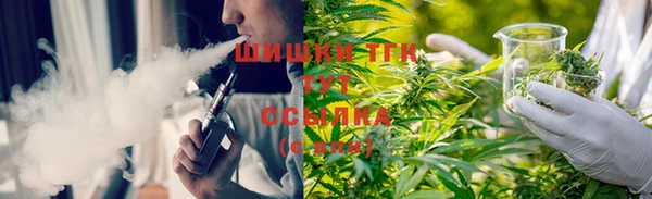 хмурый Аркадак