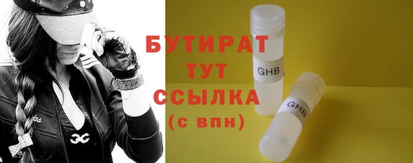 хмурый Аркадак