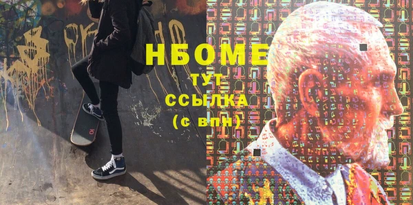 хмурый Аркадак