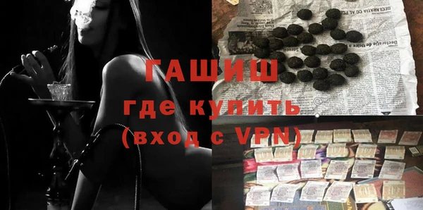 хмурый Аркадак