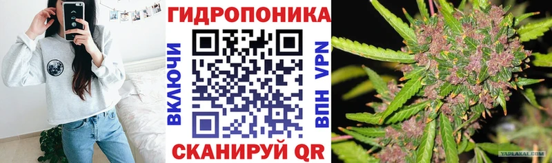 Шишки марихуана Amnesia  Ельня 